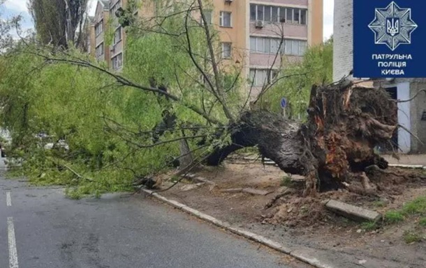 Сильний вітер у Києві зламав пару дерев