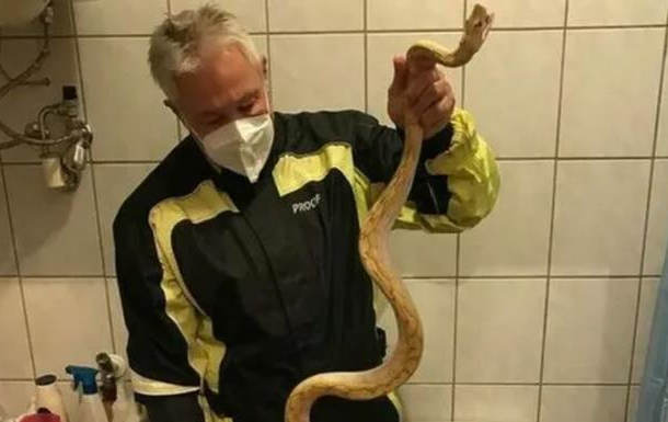 В Австрии мужчину укусила змея во время сидения на унитазе