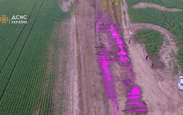 Экологи назвали причину появления луж розового цвета под Ровно