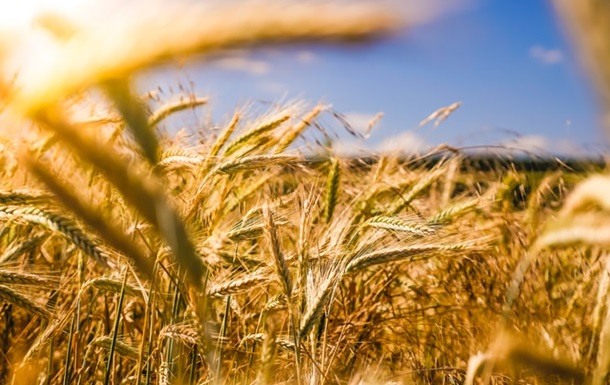 На Кіровоградщині зібрали перший мільйон тонн зернових