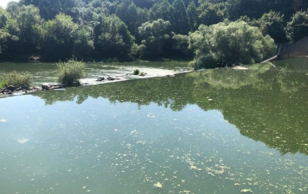 Збитки від забруднення річки Тетерів у Житомирі склали 23 млн гривень