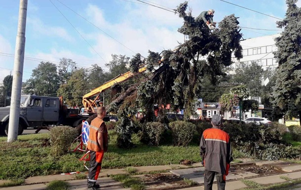 Ураган в Києві: пошкоджено 350 дерев