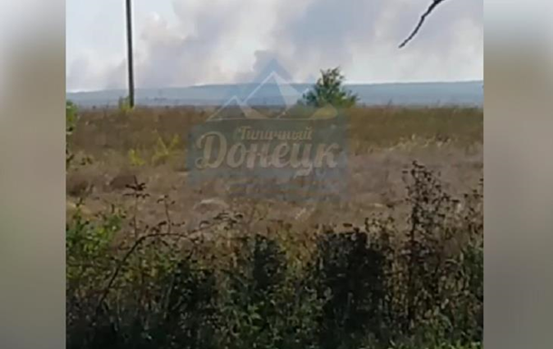 Пожар в парке Донецкий кряж уничтожил 90 га леса
