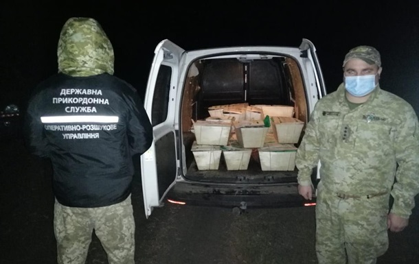 Border guards seized almost half a ton of oysters on the border with the Russian Federation