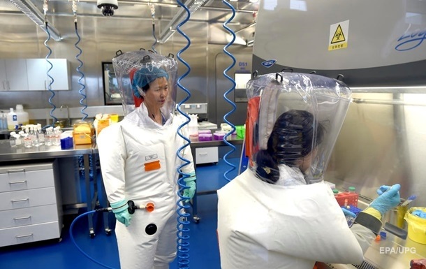 В Китае планировали заразить коронавирусом летучих мышей до пандемии - СМИ