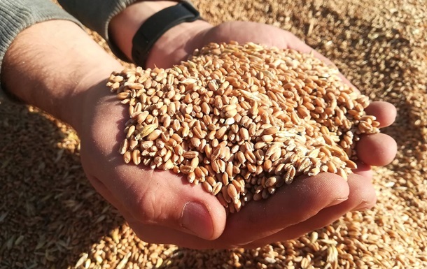Украина намерена продать пшеницы на $6 млрд за год