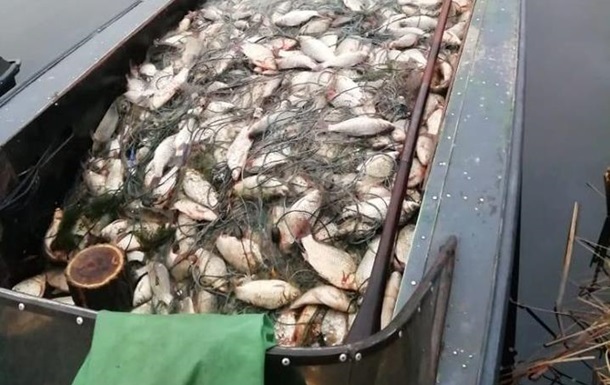 В Україні збільшили штрафи за незаконний вилов риби