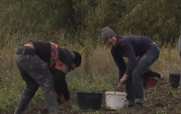 Сельские школьники вместо уроков копают картошку 