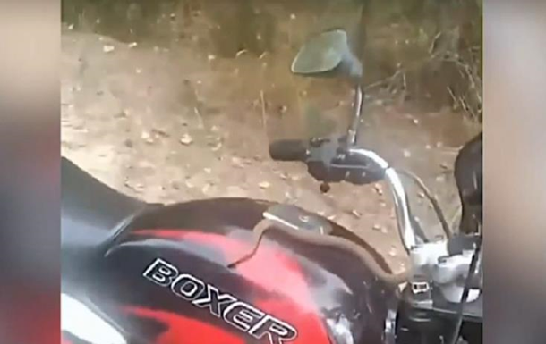 The snake crawled into the motorcycle and attacked the driver