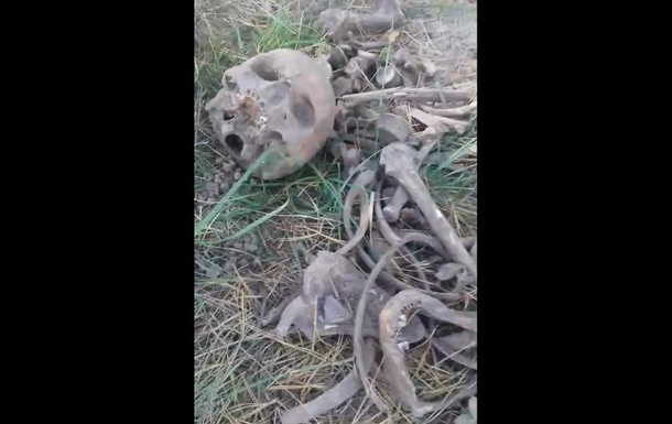 Кістки людини знайшли на кладовищі для тварин