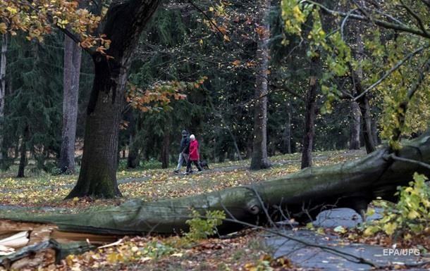У Чехії ураган залишив без світла 300 тисяч будинків