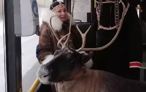 В Норильске женщина с оленем ехала в автобусе