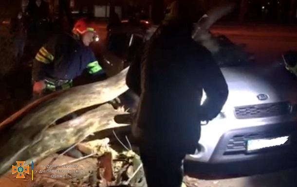 В Кривом Роге на авто рухнуло дерево, есть пострадавший