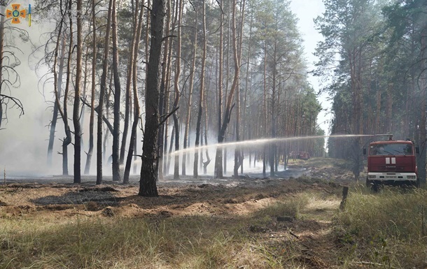 Активісти заявили про розкриття схеми із продажем лісу на Луганщині - ЗМІ