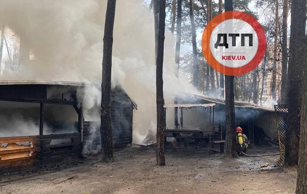 В Киеве в парке Совки произошел пожар в зоопарке
