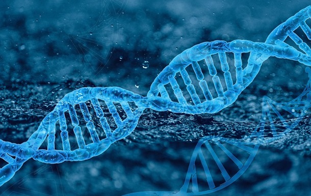 Біологи створили першу штучну геномну ДНК