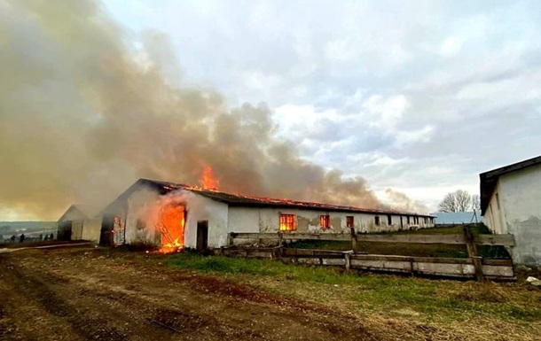 В Тернопольской области горела ферма
