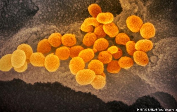Новий варіант коронавірусу: ЄС заборонив в їзд з країн південної Африки