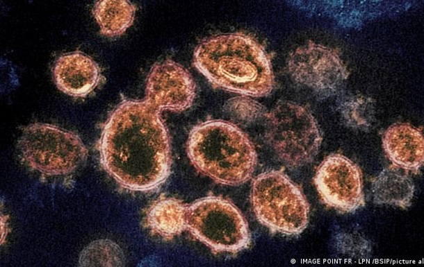 Коронавірус з Південної Африки: чим небезпечна нова мутація