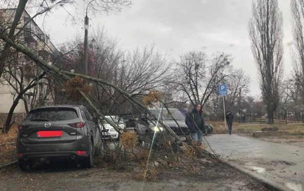 У Харкові ураган пошкодив авто та повалив дерева
