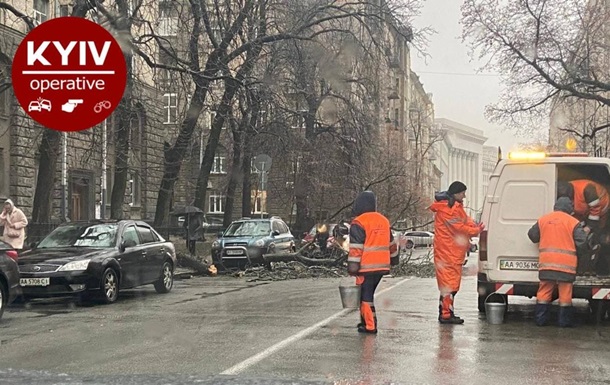 У Києві через негоду на авто падають дерева