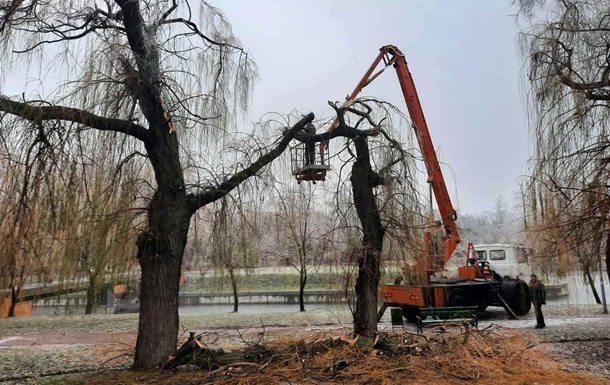 У Києві намерзла крига пошкодила 760 дерев