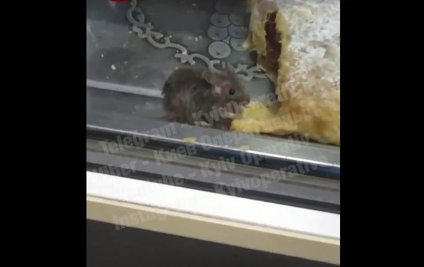 У Києві у вітрині з випічкою помітили мишу