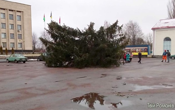 На Житомирщині впала новорічна ялинка