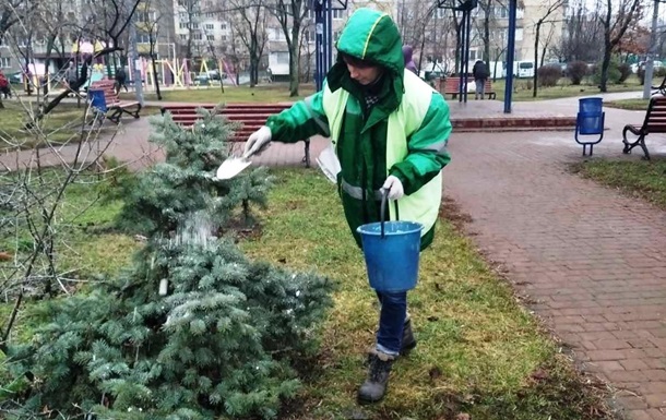 У Києві посилили охорону хвойних дерев