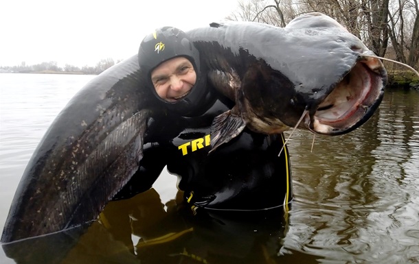 Рибалка з Дніпра впіймав сома вагою 50 кілограмів