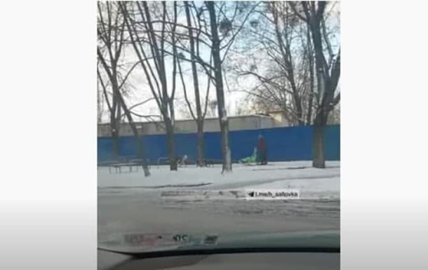 У Харкові на відео потрапила жінка на санчатах, запряжених собаками