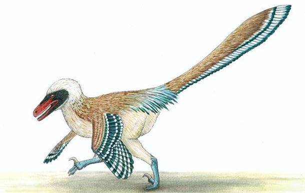 Вчені відкрили новий вид динозавра-птаха
