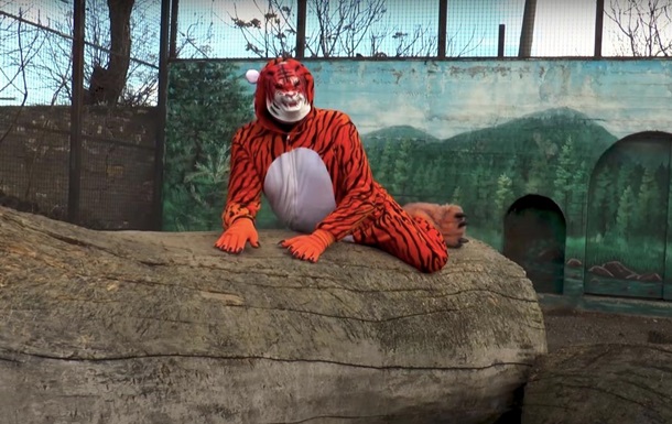 Директор одеського зоопарку переодягся у тигра і бігав за жінками