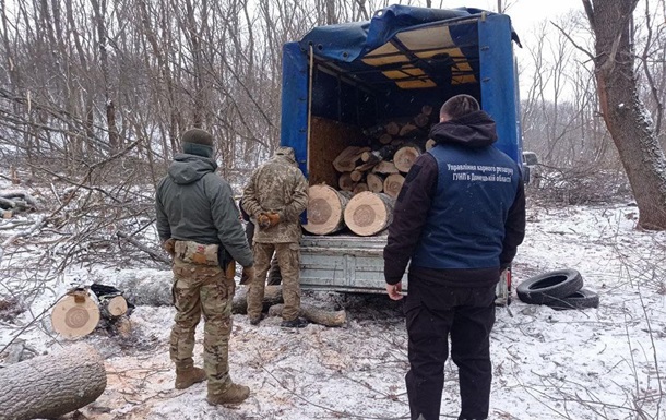 На Донбасі затримали групу  чорних  лісорубів
