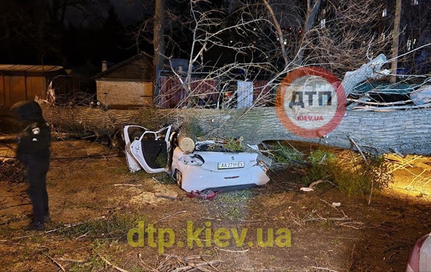 В Киеве упавшее дерево раздавило легковушку: погиб человек