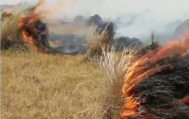 В Аргентині палають масштабні пожежі