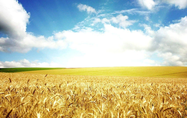 Глобальный продовольственный кризис и украинское зерно на экспорт