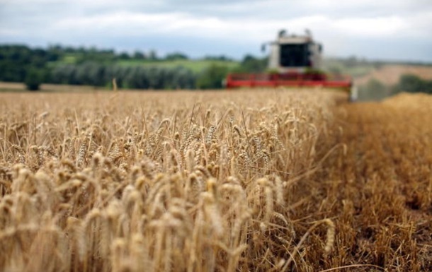 Russia allowed to steal grain in Ukraine