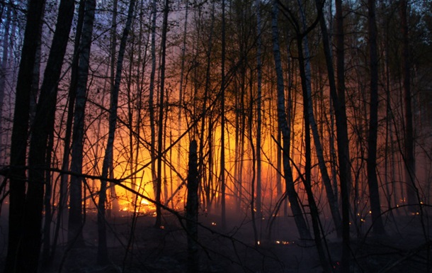На Донеччині від обстрілів горять ліси: гасити пожежі неможливо