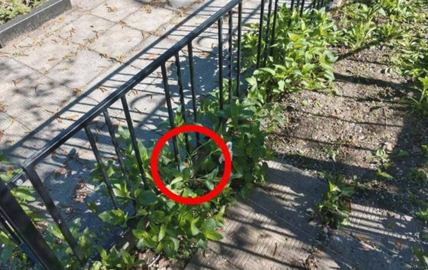 Очередной фейк: роспропаганда обвинила ВСУ в минировании могил в Харькове