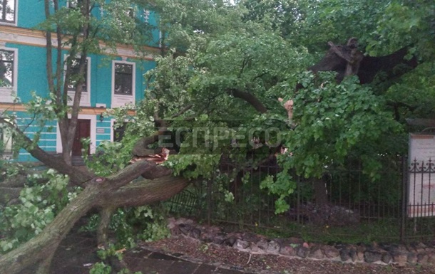 В Киеве ветер сломал легендарную липу Петра Могилы