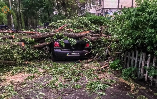 Негода в Києві: дерева, що впали, пошкодили 11 автомобілів