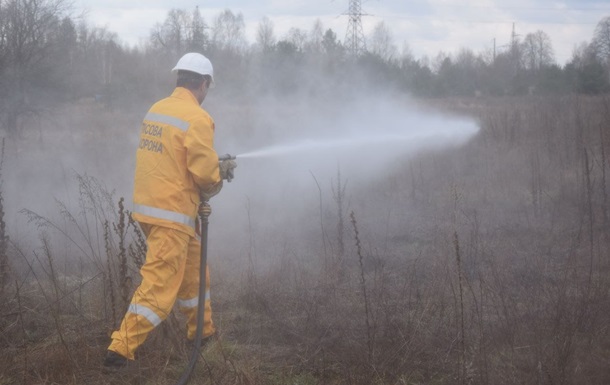 В Чернобыльской зоне тушат лесной пожар 