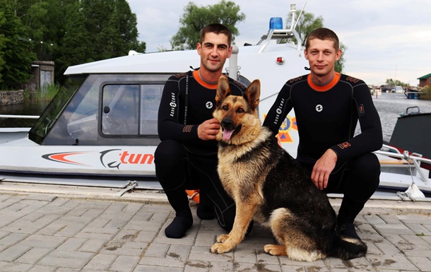 В ГСЧС появилась спасательная собака-водолаз Найда