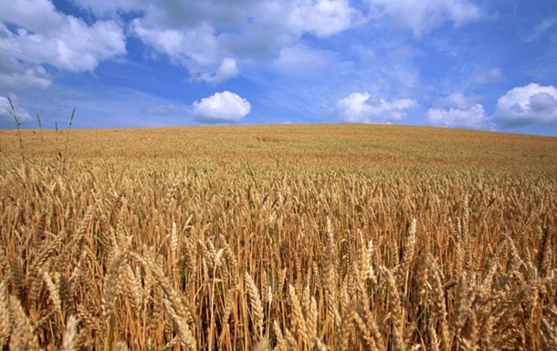 World wheat stocks will last 10 weeks