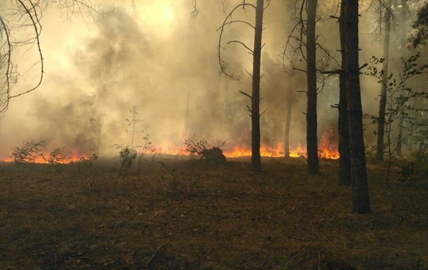 Біля Запорізької АЕС сталася лісова пожежа