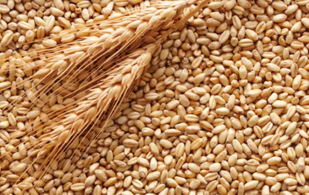 Туреччина підготувала дорожню карту, щоб експортувати українське зерно