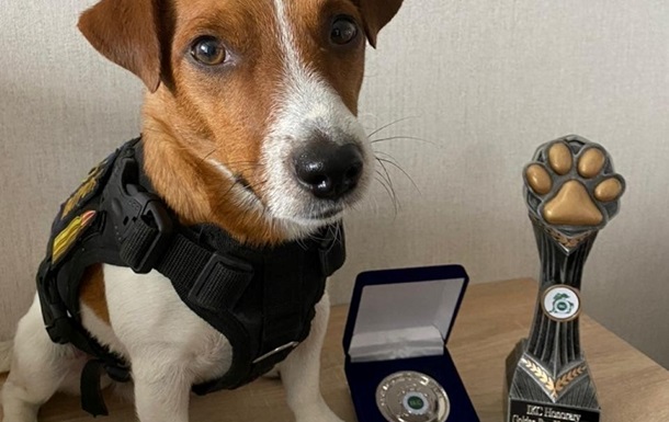 Dog Patron received another award