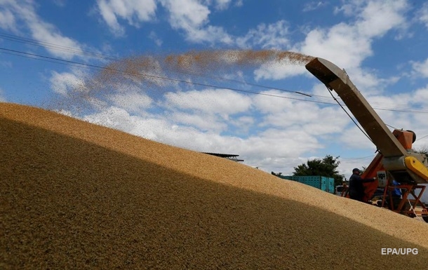 Украина увеличила экспорт зерна, несмотря на войну