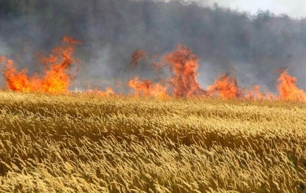 A field with winter crops caught fire in the Dnepropetrovsk region after shelling